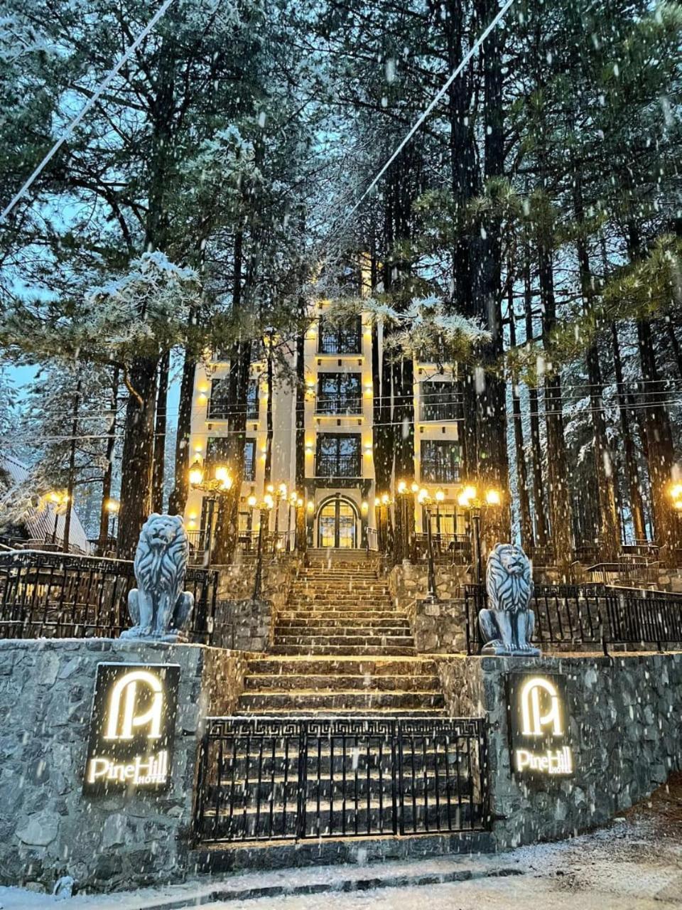 Pinehill Hotel, Restaurant , Pool & - Hotel 5*